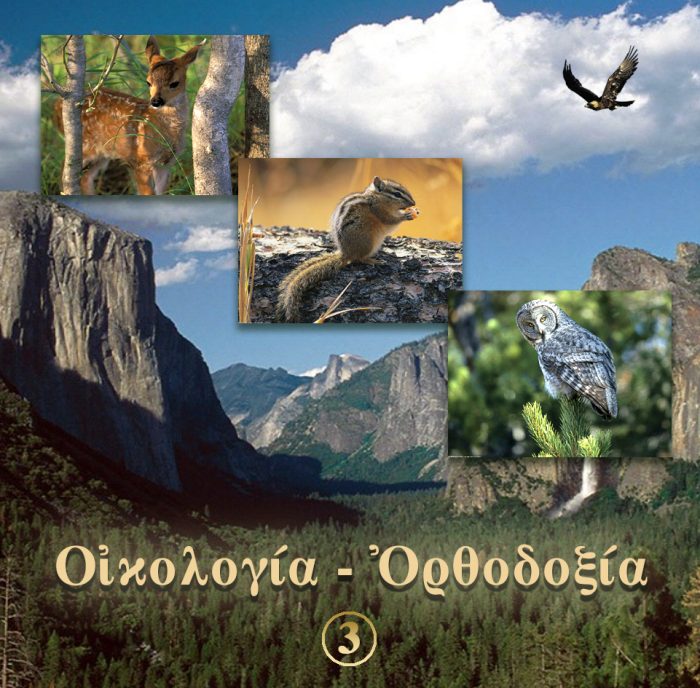 3.ΔΙΑΣΤΑΣΕΙΣ ΟΙΚΟΛΟΓΙΚΟΥ ΠΡΟΒΛΗΜΑΤΟΣ Α΄