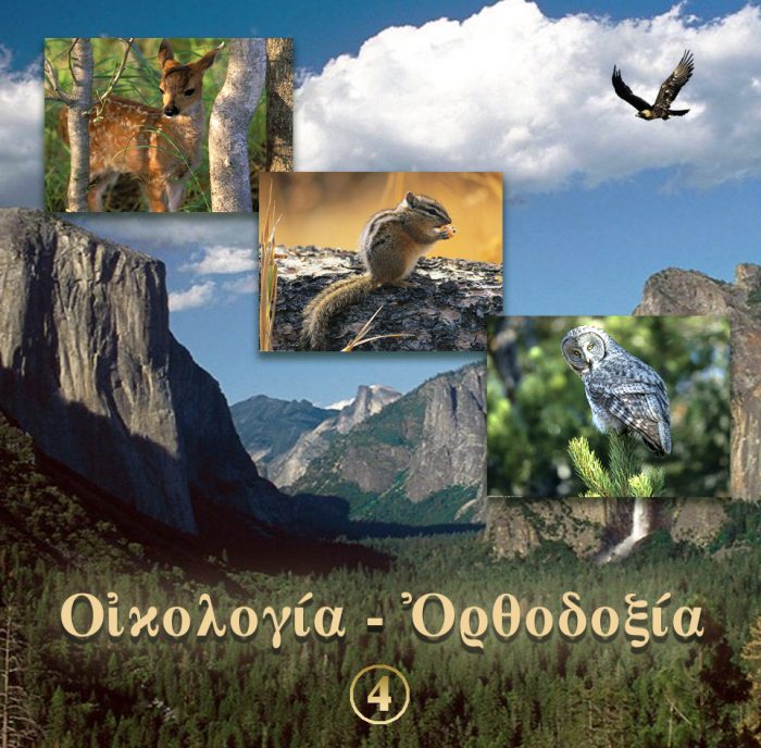 4.ΔΙΑΣΤΑΣΕΙΣ ΟΙΚΟΛΟΓΙΚΟΥ ΠΡΟΒΛΗΜΑΤΟΣ Β΄