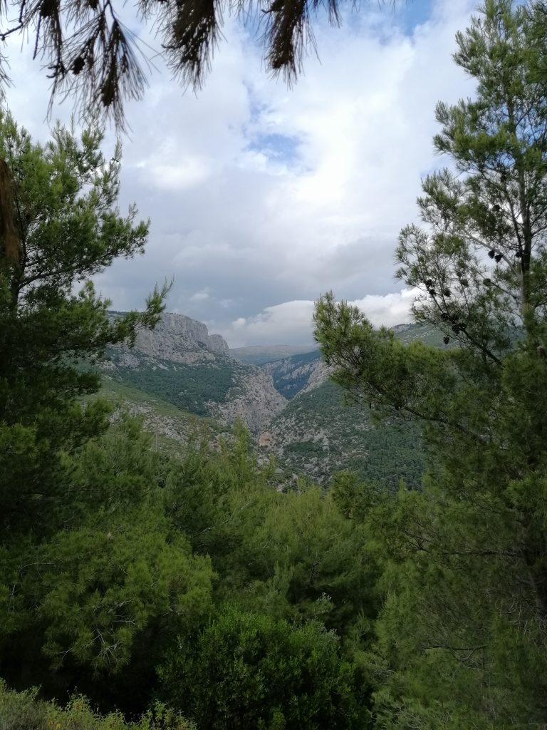 img 20200529 172546