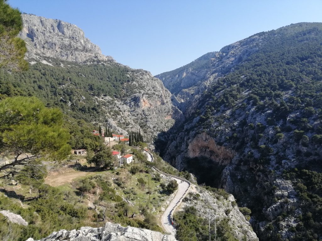 img 20220326 095421